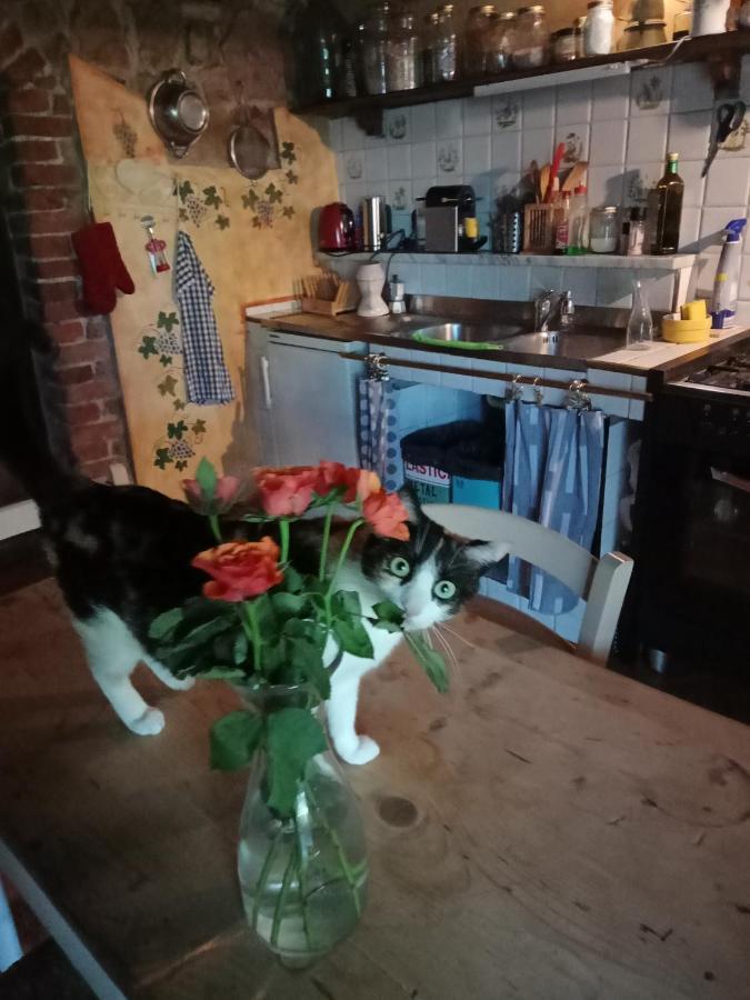 Morelli House Vendégház Montalbo Kültér fotó