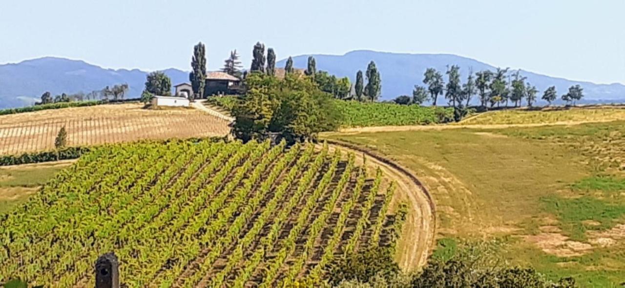 Morelli House Vendégház Montalbo Kültér fotó