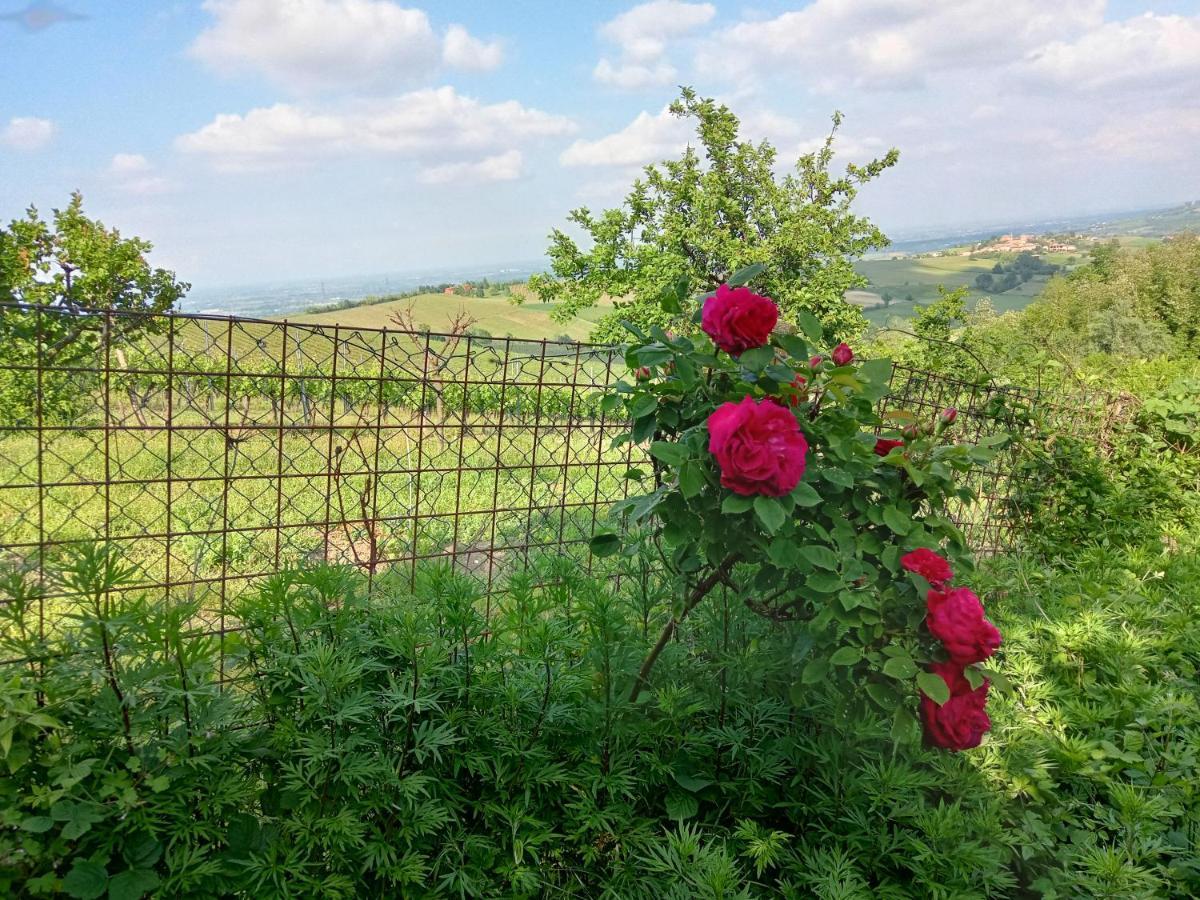 Morelli House Vendégház Montalbo Kültér fotó